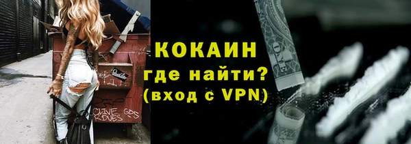 дживик Осинники