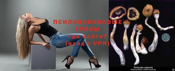 амф Няндома
