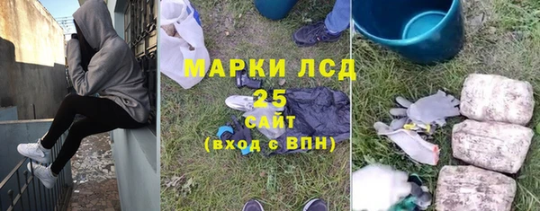 дживик Осинники