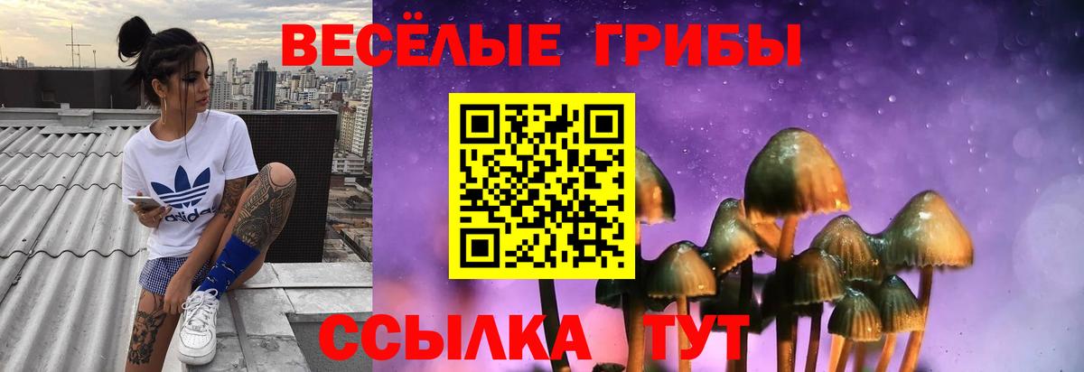 Галлюциногенные грибы Psilocybine cubensis  Галлюциногенные грибы Psilocybe  Кашира  Вход с VPN 