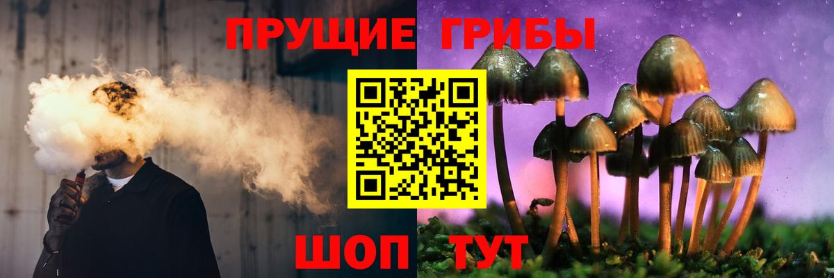 Псилоцибиновые грибы ЛСД Кашира
