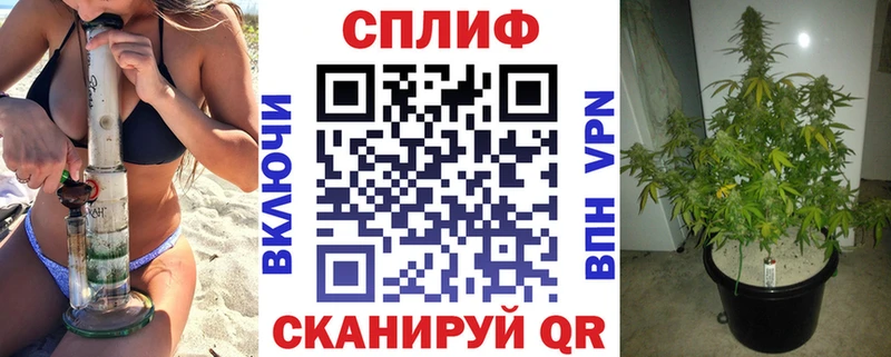 дарнет шоп  ОМГ ОМГ ССЫЛКА  Марихуана SATIVA & INDICA  Кашира 